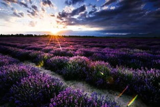 逃離長沙的鬼天氣 7月份中國最美的風光都在這啦